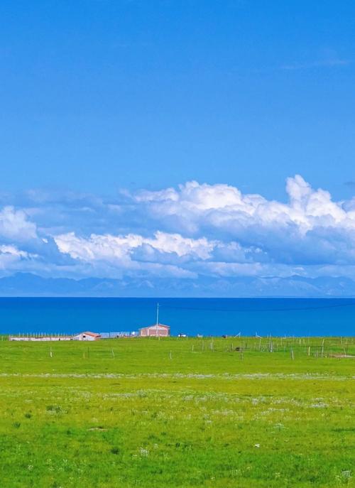 站群如何挂百度广告