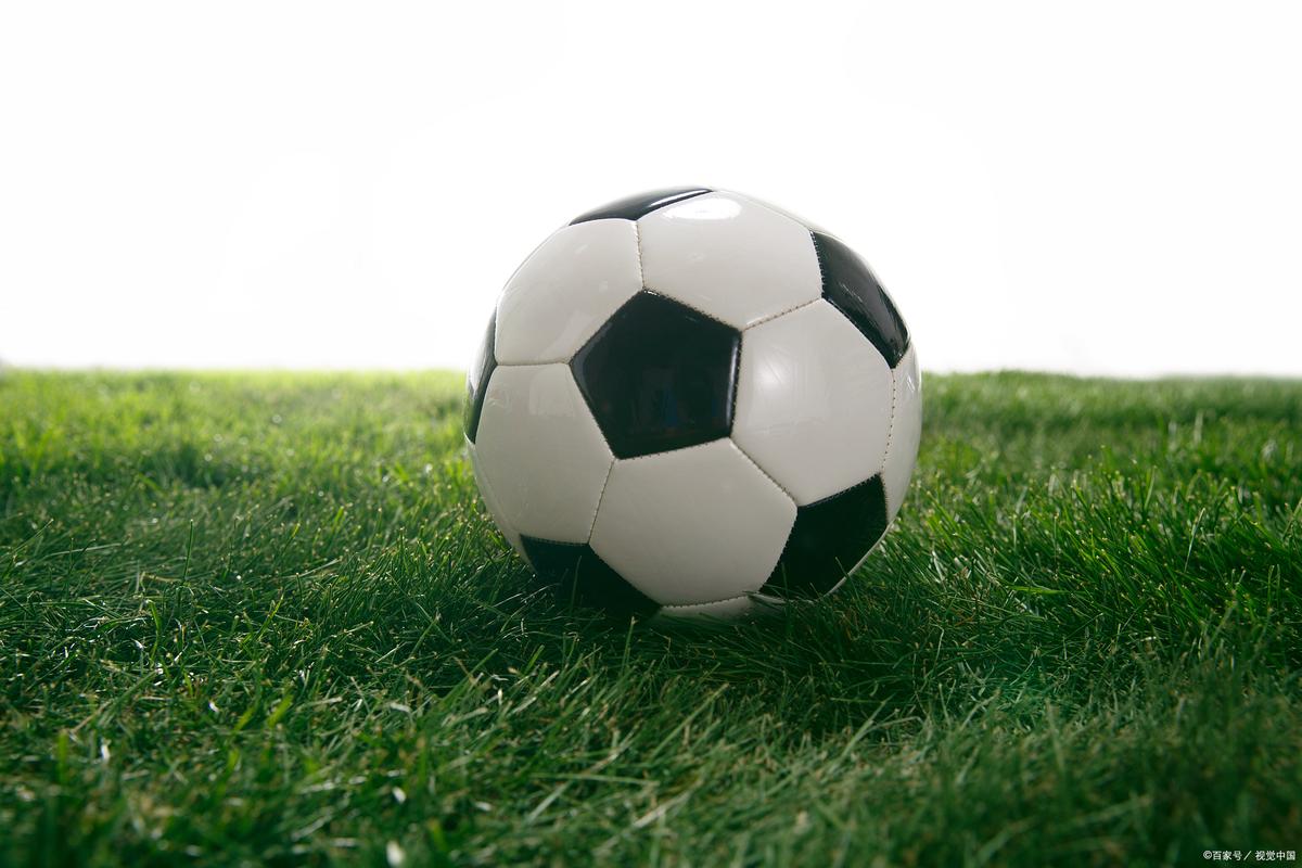 流量精灵刷站群